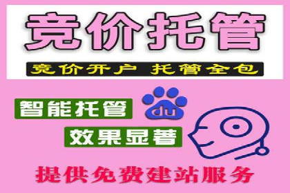 成功案例揭秘：SEM竞价代运营的五大关键点